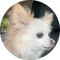 Suhanek Avatar